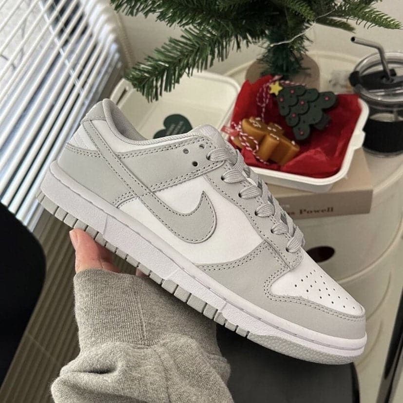 Nike Dunk Low Grey Fog - HADNUS